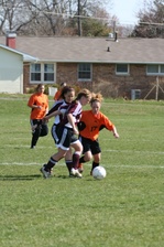 Enlarge photo 59
