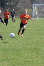 Enlarge photo 62