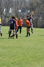 Enlarge photo 66