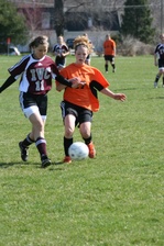 Enlarge photo 73