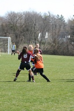 Enlarge photo 107