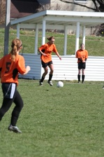 Enlarge photo 151