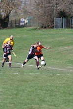 Enlarge photo 154