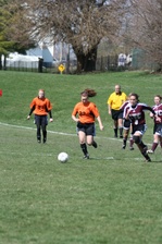 Enlarge photo 155