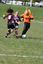 Enlarge photo 183