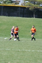 Enlarge photo 214