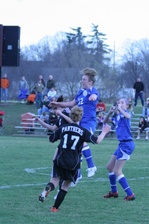 Enlarge photo 58
