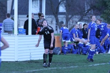 Enlarge photo 62
