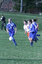 Enlarge photo 217
