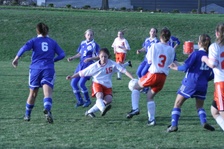 Enlarge photo 232