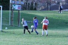 Enlarge photo 252