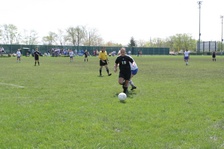 Enlarge photo 41