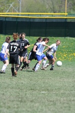 Enlarge photo 106