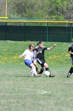 Enlarge photo 107