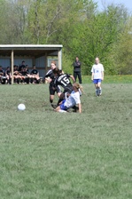 Enlarge photo 143