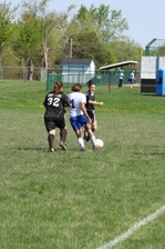 Enlarge photo 169