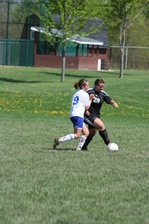 Enlarge photo 213