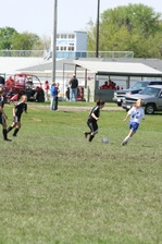 Enlarge photo 223