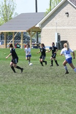 Enlarge photo 224
