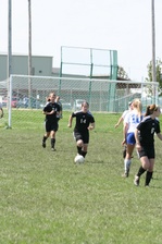 Enlarge photo 230