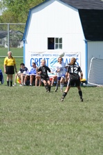 Enlarge photo 241