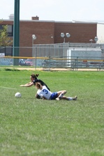 Enlarge photo 248