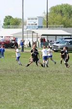 Enlarge photo 259