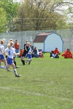 Enlarge photo 322