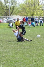 Enlarge photo 374
