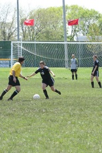 Enlarge photo 387