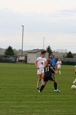 Enlarge photo 45