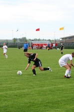 Enlarge photo 53