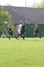 Enlarge photo 55