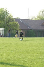 Enlarge photo 61