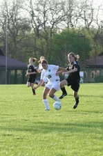 Enlarge photo 109