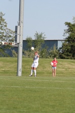 Enlarge photo 52