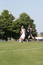 Enlarge photo 72