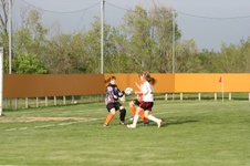Enlarge photo 47