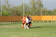 Enlarge photo 48