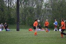 Enlarge photo 67