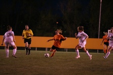 Enlarge photo 127