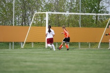 Enlarge photo 143