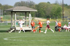 Enlarge photo 151