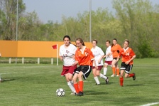 Enlarge photo 154