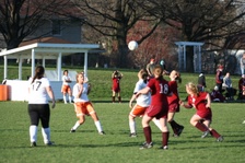 Enlarge photo 51