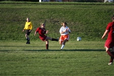 Enlarge photo 53