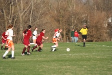 Enlarge photo 69