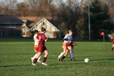 Enlarge photo 93