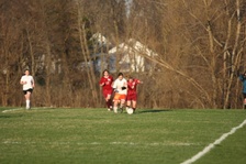 Enlarge photo 99