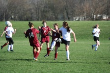 Enlarge photo 127